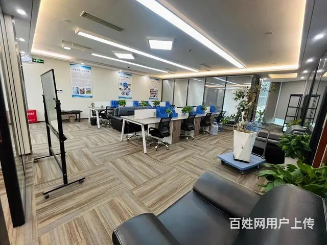 绿地中央广场，商圈覆盖，精装拎包，价格条件好谈，房东直租！ - 图片 5