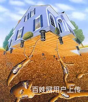 灭飞蚂蚁黑蚂蚁杀虫白蚁防治 - 图片 1