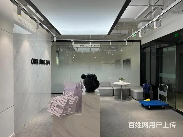 阿里滨江园区 直播基地 豪华装修拎包办公 园区环境优美好招人 - 图片 4