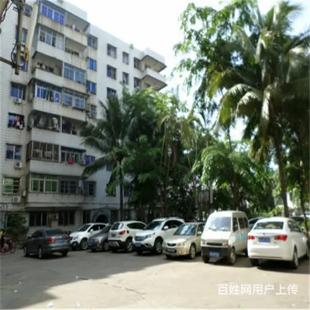 龙昆南大润发对面商圈      金竹园2房精装修 - 图片 9