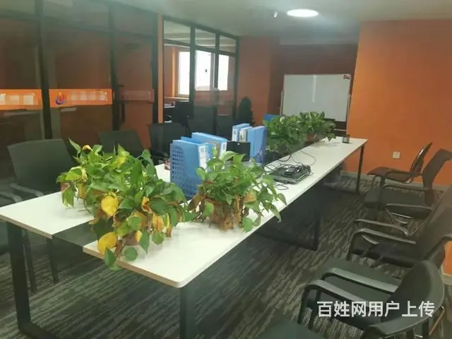 秋林深业大厦1200平传媒直播间工作室出租；出兑 - 图片 7