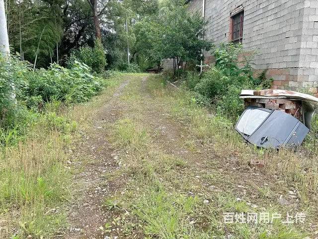 （老板本人）长沙县黄花镇独门独栋厂房/仓库/场地出租5671 - 图片 11
