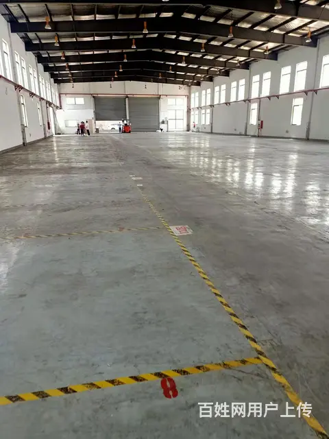 周市优比路2176平，原房东出租无公摊，独栋，园区干净 - 图片 3
