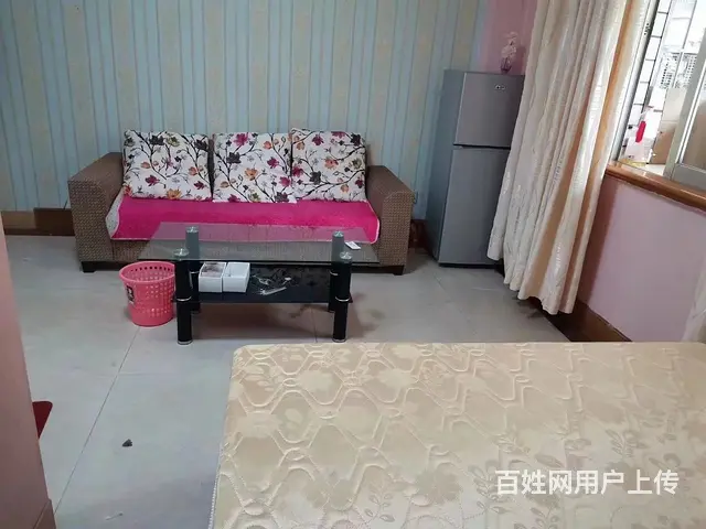 地铁房泰和花园独立单身公寓1100包物业.宽带包水费 - 图片 4