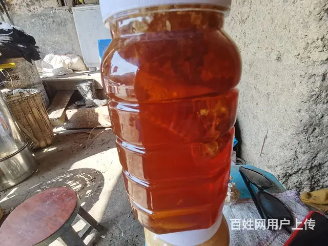 老人养殖中蜂蜜 - 图片 2
