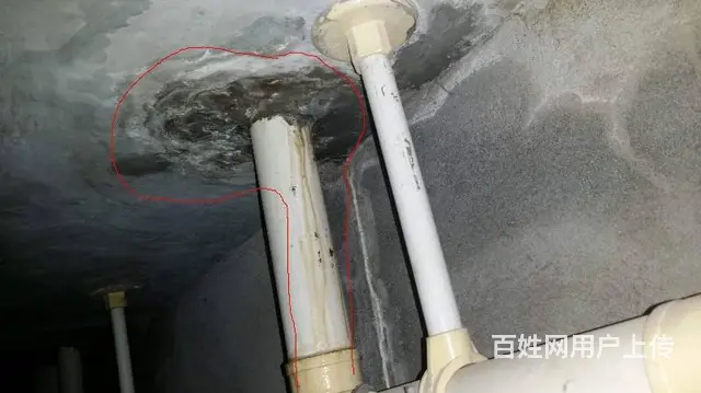 吴江松陵专业家庭漏水维修 屋顶防水 卫生间做防水 - 图片 6
