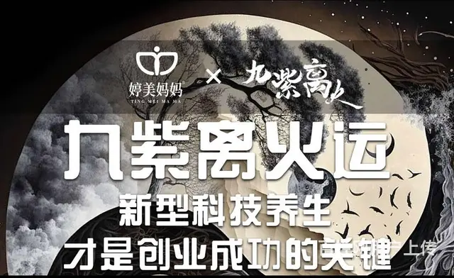 婷美妈妈：当九紫离火运遇上新型科技养生，才是创业成 - 图片 1