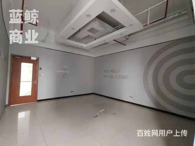 金龙湖旁500到1000平整层可分割欢迎看房 - 图片 8