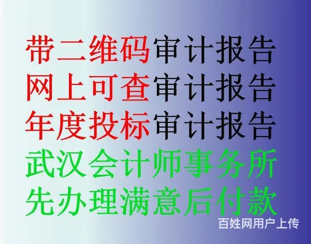 投标审计报告怎么收费，23年公司审计报告收费 - 图片 4