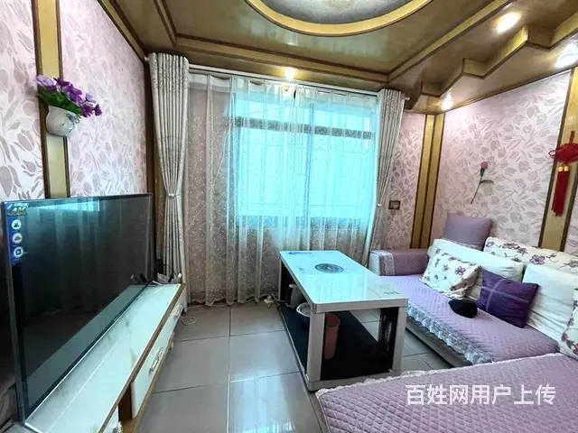 麻园路老十小附近精装四室带楼顶大花园家具家电打包出售 - 图片 7