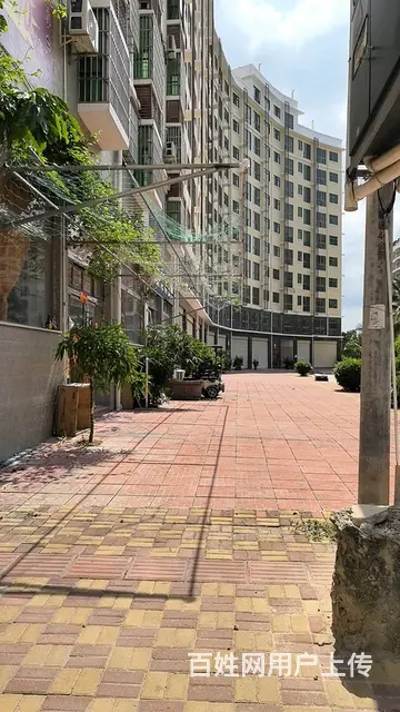 （51旺铺推荐）九所新区1900平铺面+2000平地下室整租 - 图片 6