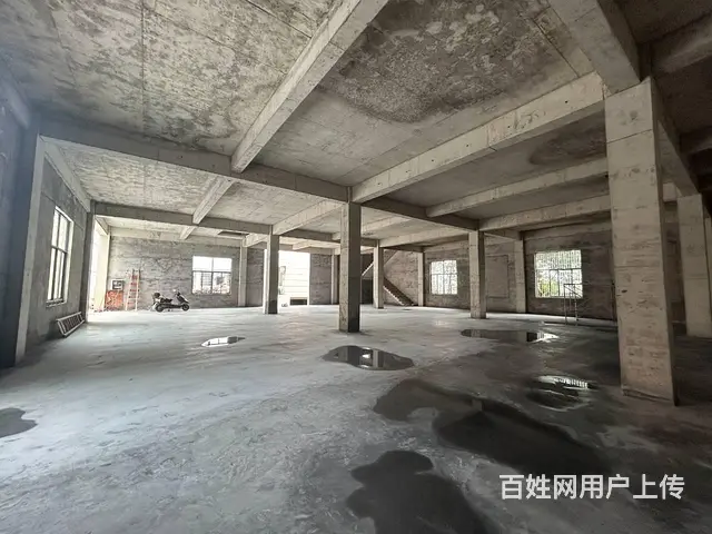 （老板本人）黄兴镇独门独院全新厂房/仓库出租 6511 - 图片 7
