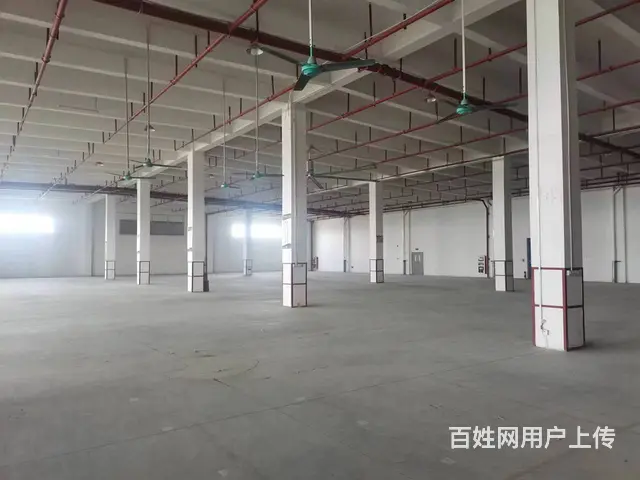房东直租高标库及楼库（带平台） - 图片 3