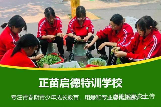 广东梅州孩子叛逆期教育学校|问题青少年学校的图片