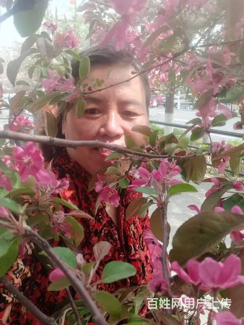 真心找对象结婚 - 图片 2