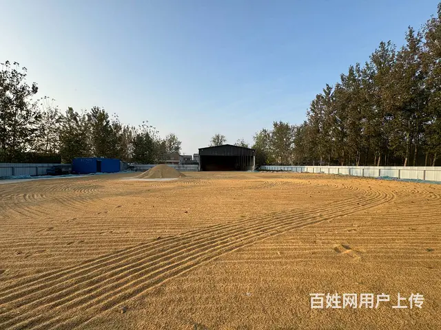 （徐州找店网）新城区东观光路旁带大院子厂房出租 - 图片 2