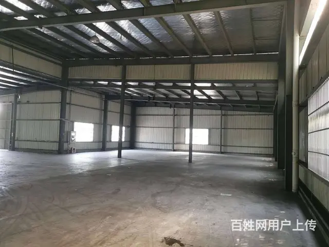 碧溪沿江开发区独栋1600平单层钢结构厂房，场地大，两个大门 - 图片 4