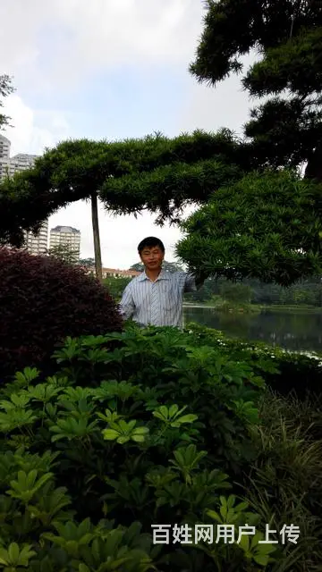 我是真心诚意找个女子与我相依相守不离不弃过日子。我 - 图片 1