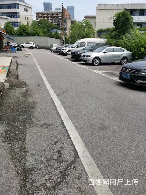 房东直租天心区学校商圈临街门面直租【无行业限制】3053 - 图片 4
