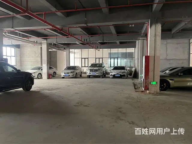 珠海前山明珠南路产业园招租 - 图片 8