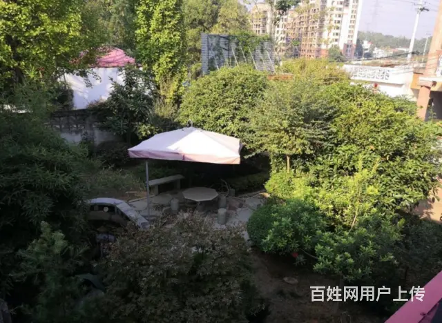 环境优美，院外停车方便! 可办公 价格面谈 - 图片 12
