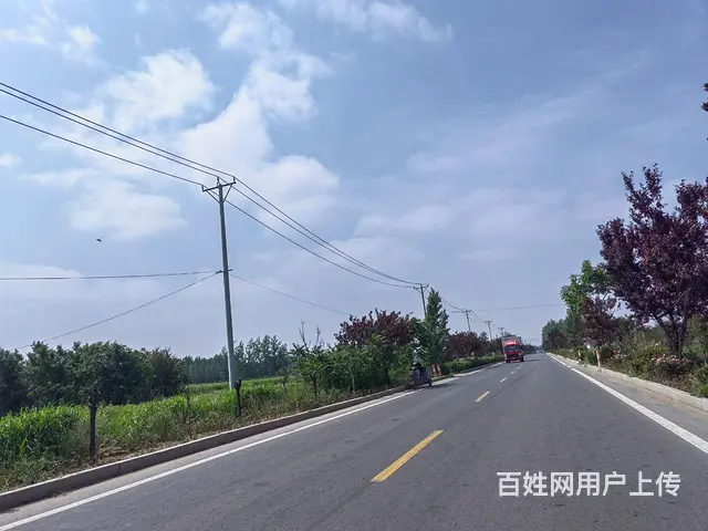 临沭县青云镇钢结构厂房出租 - 图片 1