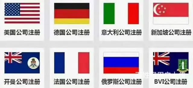 迪拜公司的类型 - 图片