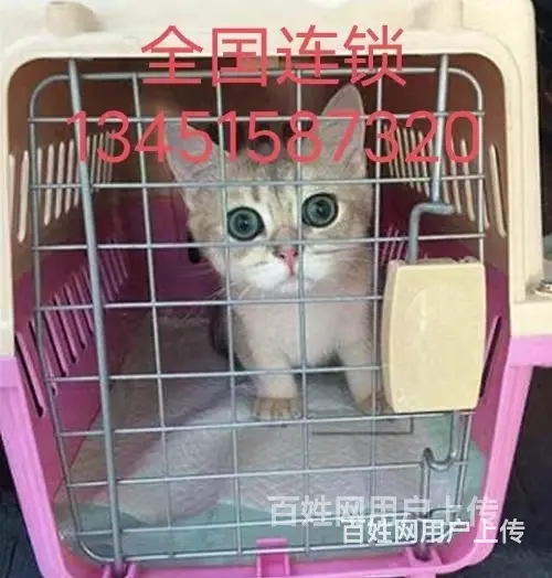 新消息（临沧宠物托运猫狗活体物查询}/今日/热点2022信息 - 图片 2