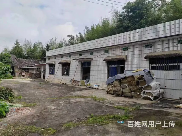 （老板本人）开福区独门独院整栋房屋+厂房仓库房东直租 可分租 - 图片 5