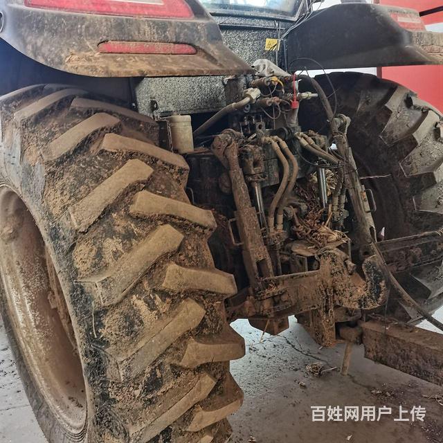 雷沃的图片