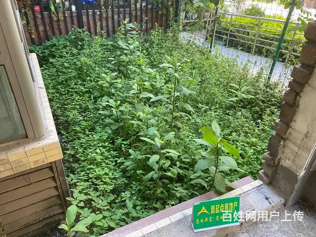 一楼带花园 跃层 哪点都好 安静 空气 舒适 - 图片 12