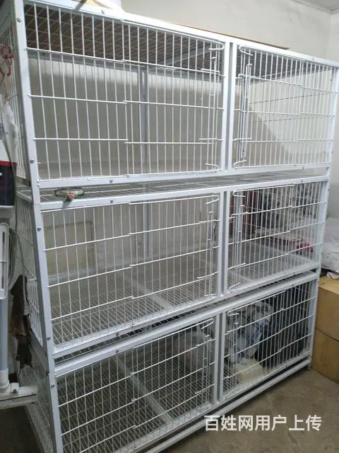 99新猫笼 - 图片 1