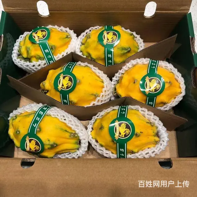 海南热带新鲜水果产地直发，全国包邮售后保障 - 图片 4