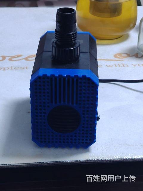 65wYEE水泵的图片