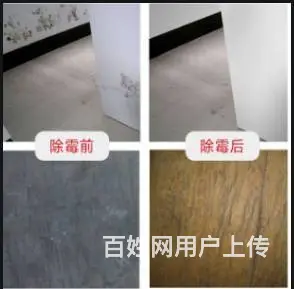 广州上门除霉公司，越秀区正规除发霉，办公室除霉服务 - 图片 7
