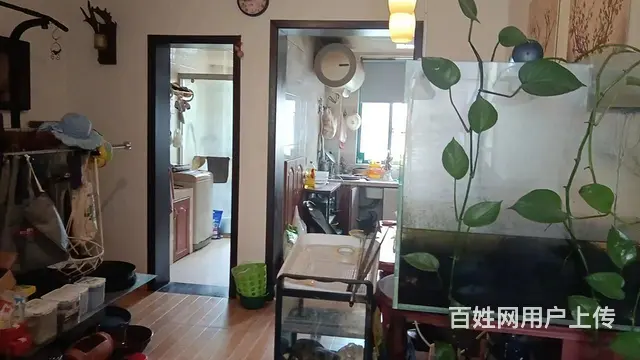 田林苑 普通住宅 精装修 - 图片 3