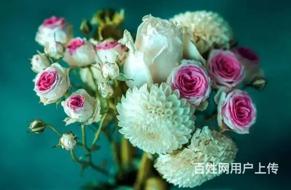 郑州学习插花哪里有 - 图片 2