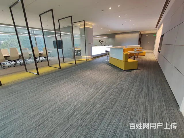 拱墅区核心板块 独幢2700方精装现房 运河景观 带独立花园 - 图片 10