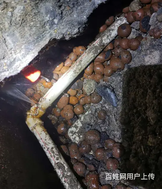 惠州检测暗管漏水机构'地下水管漏损维修在线咨询 - 图片 3