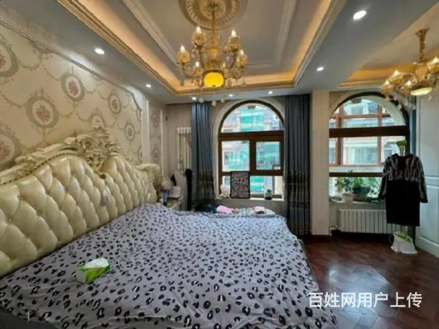 玫瑰湾珑岸别墅 豪装 赠俩车位 所见所得 前后庭院 - 图片 9