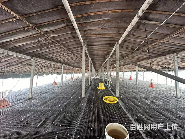 （弘扬快讯）铜山区三堡胜阳养殖场出租 - 图片 2