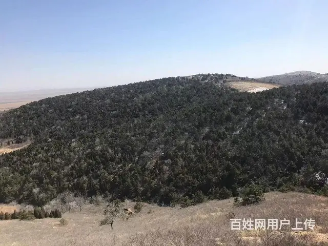 山林出售出租 - 图片 11