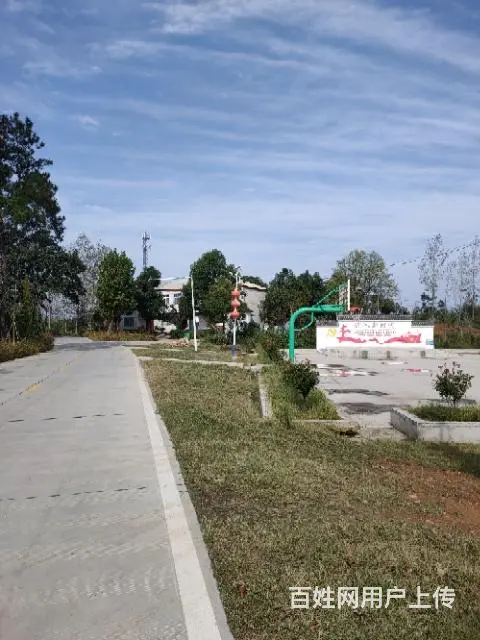 学堂岗村别墅便宜卖 环境优美 路况极好 - 图片 1