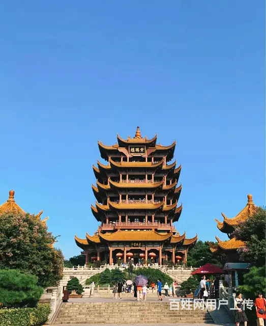 开放大学怎么自己报名-专业技巧这里看 - 图片