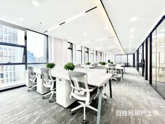 新装轻奢风（5室30工位）无加时费 三街地铁口新希望国际 - 图片 5