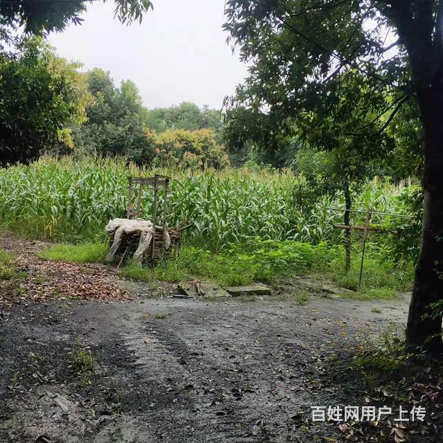土地带房整租 - 图片 4