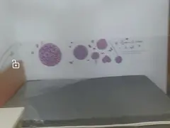 本宅在石塘村戏台边上