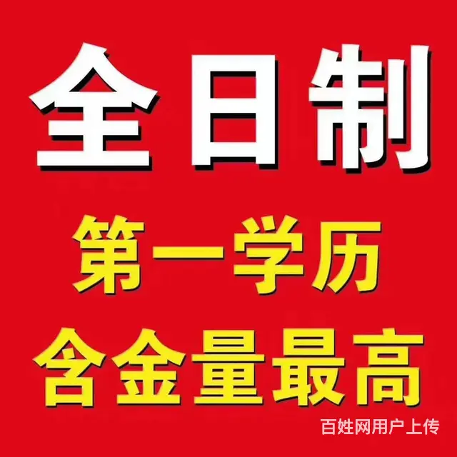 职业资格证书 - 图片 3