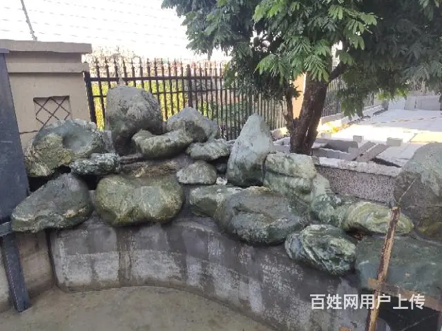 鱼池维护 - 图片 5