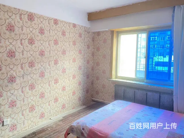 近中街恒隆广场，中国黄金旁 500元/月，女生合租，包WiF - 图片 2